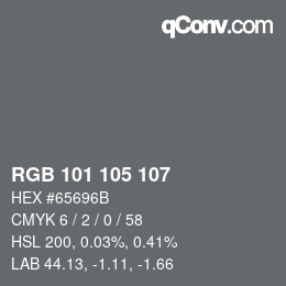 Color code: RGB 101 105 107 | qconv.com