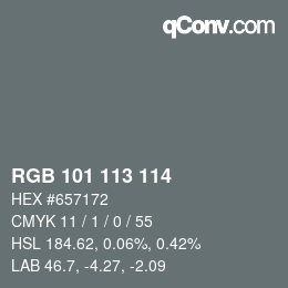 Color code: RGB 101 113 114 | qconv.com