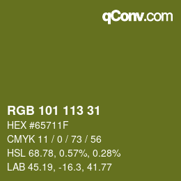 Color code: RGB 101 113 31 | qconv.com