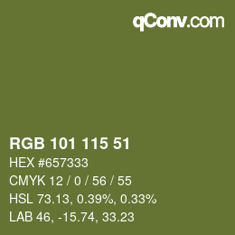 Color code: RGB 101 115 51 | qconv.com