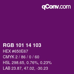 Color code: RGB 101 14 103 | qconv.com