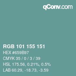 Color code: RGB 101 155 151 | qconv.com