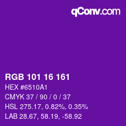 Color code: RGB 101 16 161 | qconv.com