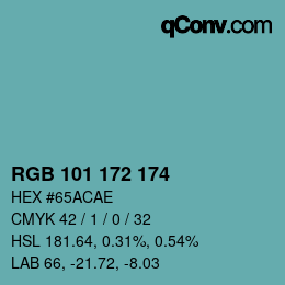 Color code: RGB 101 172 174 | qconv.com