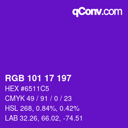 Color code: RGB 101 17 197 | qconv.com
