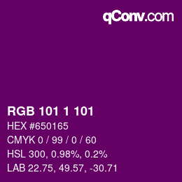 Color code: RGB 101 1 101 | qconv.com