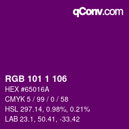 Color code: RGB 101 1 106 | qconv.com
