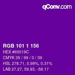Color code: RGB 101 1 156 | qconv.com
