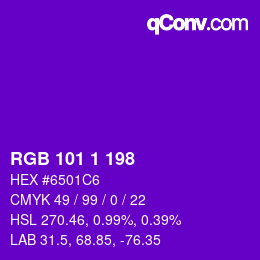 Color code: RGB 101 1 198 | qconv.com
