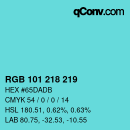 Color code: RGB 101 218 219 | qconv.com
