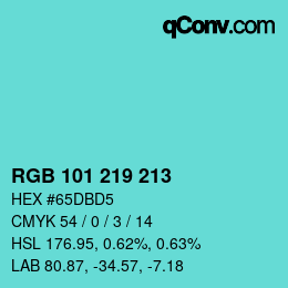 Color code: RGB 101 219 213 | qconv.com