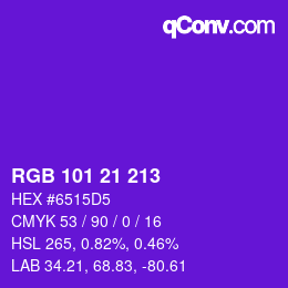 Color code: RGB 101 21 213 | qconv.com