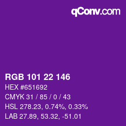 Color code: RGB 101 22 146 | qconv.com