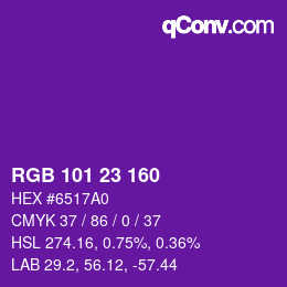 Color code: RGB 101 23 160 | qconv.com