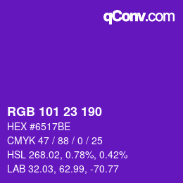 Color code: RGB 101 23 190 | qconv.com