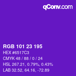 Color code: RGB 101 23 195 | qconv.com