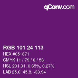 Color code: RGB 101 24 113 | qconv.com
