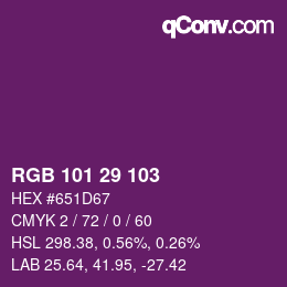 Color code: RGB 101 29 103 | qconv.com