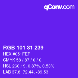 Color code: RGB 101 31 239 | qconv.com