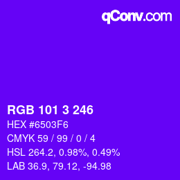 Color code: RGB 101 3 246 | qconv.com