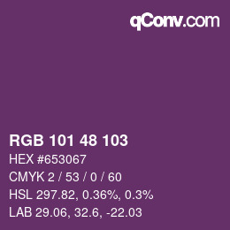 Color code: RGB 101 48 103 | qconv.com