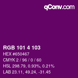 Color code: RGB 101 4 103 | qconv.com