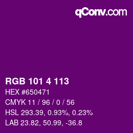Color code: RGB 101 4 113 | qconv.com