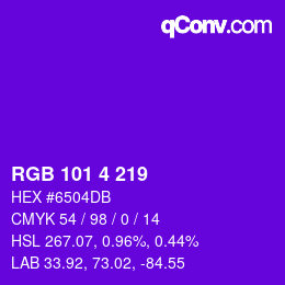 Color code: RGB 101 4 219 | qconv.com