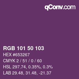 Color code: RGB 101 50 103 | qconv.com
