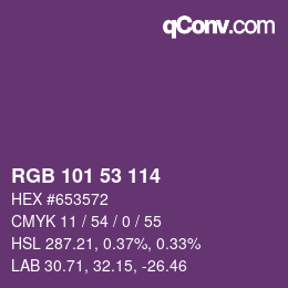 Color code: RGB 101 53 114 | qconv.com