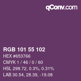Color code: RGB 101 55 102 | qconv.com