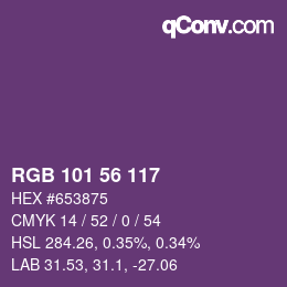 Farbcode: RGB 101 56 117 | qconv.com