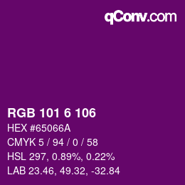Color code: RGB 101 6 106 | qconv.com