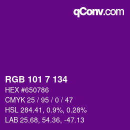 Color code: RGB 101 7 134 | qconv.com
