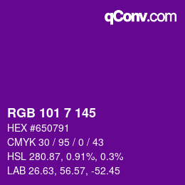 Color code: RGB 101 7 145 | qconv.com