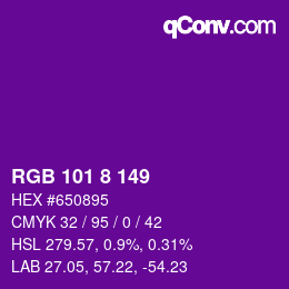 Color code: RGB 101 8 149 | qconv.com