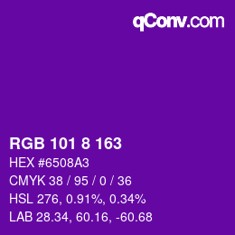 Color code: RGB 101 8 163 | qconv.com