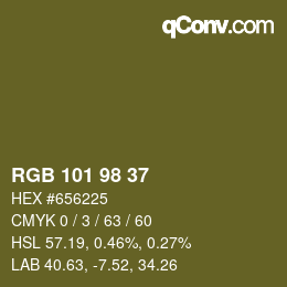 Color code: RGB 101 98 37 | qconv.com