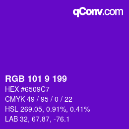 Color code: RGB 101 9 199 | qconv.com