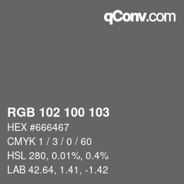 Color code: RGB 102 100 103 | qconv.com