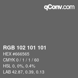 Color code: RGB 102 101 101 | qconv.com