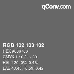 Color code: RGB 102 103 102 | qconv.com