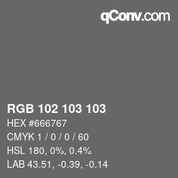 Farbcode: RGB 102 103 103 | qconv.com