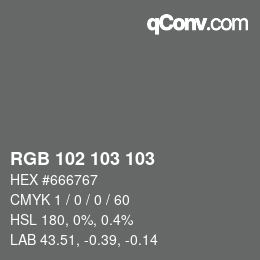 Color code: RGB 102 103 103 | qconv.com