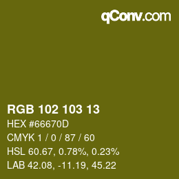 Color code: RGB 102 103 13 | qconv.com