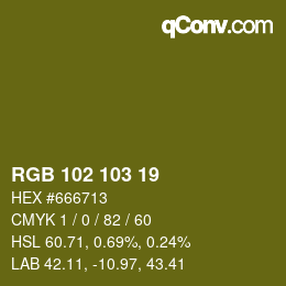 Color code: RGB 102 103 19 | qconv.com