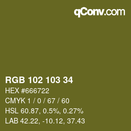 Color code: RGB 102 103 34 | qconv.com