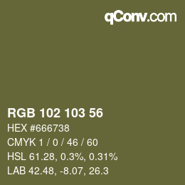 Color code: RGB 102 103 56 | qconv.com