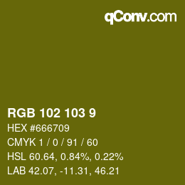 Color code: RGB 102 103 9 | qconv.com