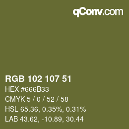 Color code: RGB 102 107 51 | qconv.com